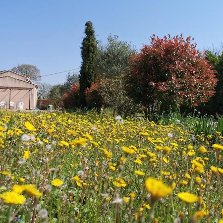 Maison De Vacances L'Hote Champetre Campagne Arlesienne Kültér fotó