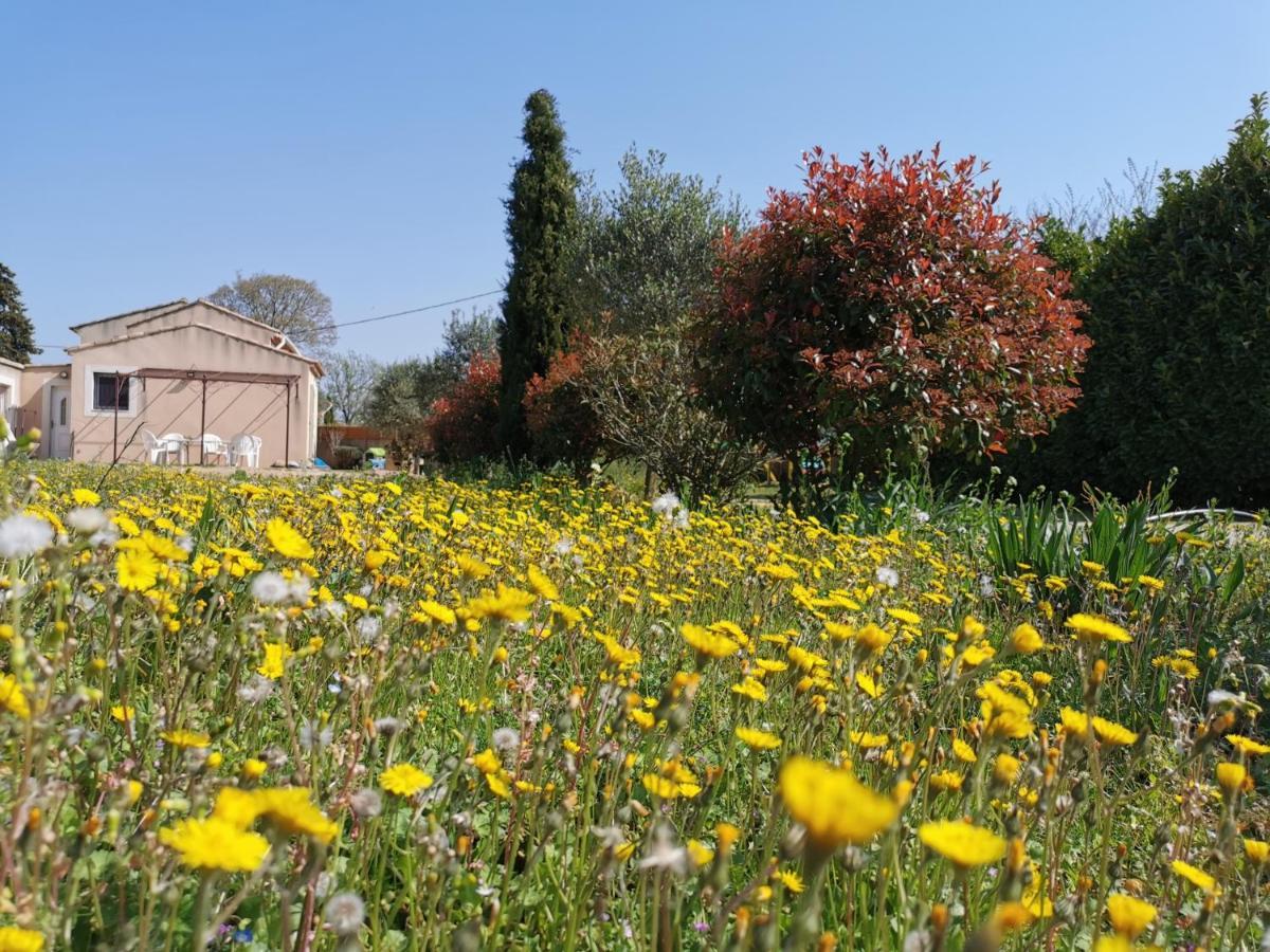 Maison De Vacances L'Hote Champetre Campagne Arlesienne Kültér fotó