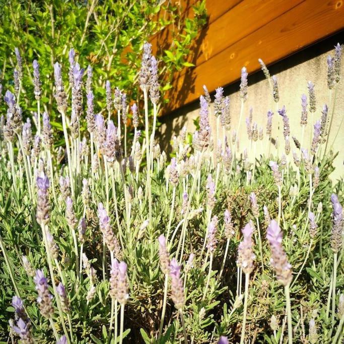 Maison De Vacances L'Hote Champetre Campagne Arlesienne Kültér fotó