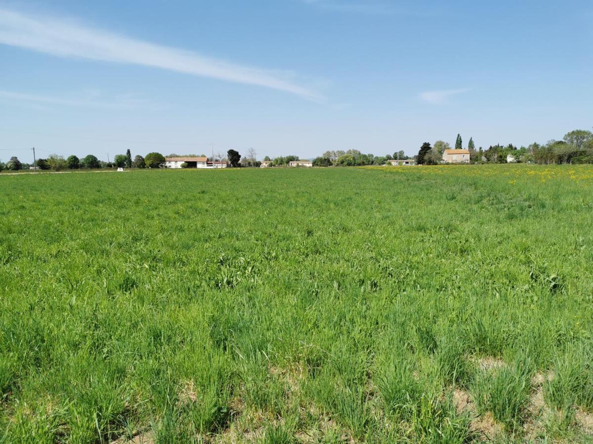 Maison De Vacances L'Hote Champetre Campagne Arlesienne Kültér fotó